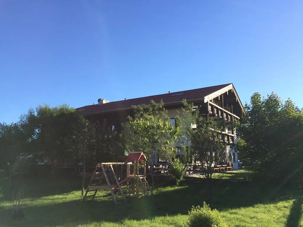 *** 酒店 Alpinhotel Inzeller 德国